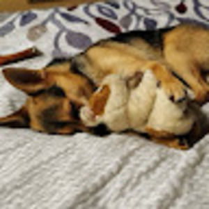 Meet your Posher, Amber